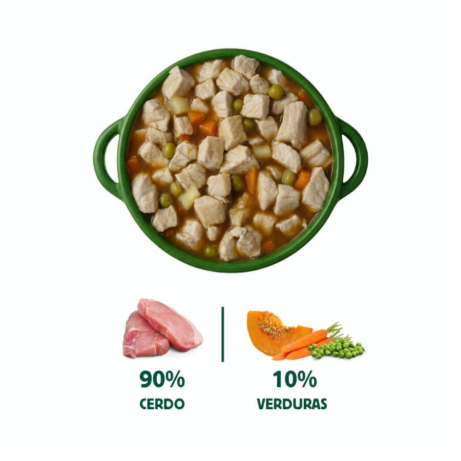 280 g Wild Balance Cazuela Cerdo y Calabaza lata para perros, , large Imagen numero 2